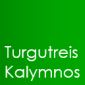 Turgutreis-Kalymnos Ferry Link
